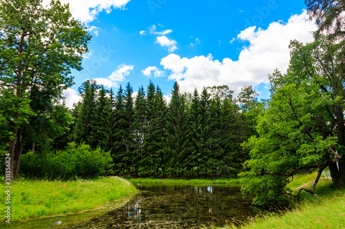 Small river in a mixed deciduous and coniferous forest in Russia. Summer landscape