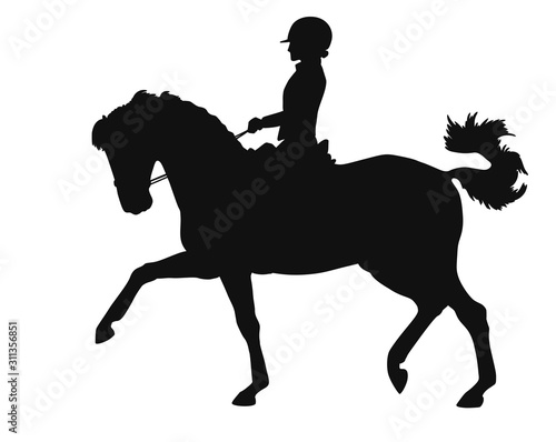 Dressage rider and horse of vector silhouette