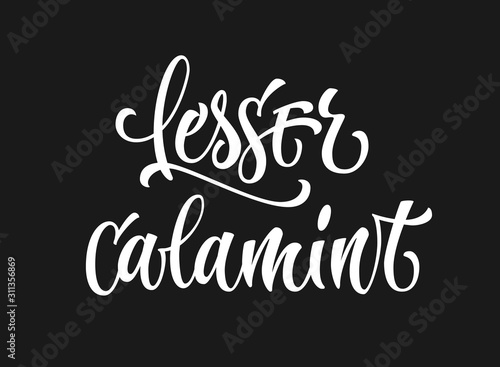 Vector hand drawn calligraphy style lettering word - Lesser calamint. Isolated script spice text label. White colored design.