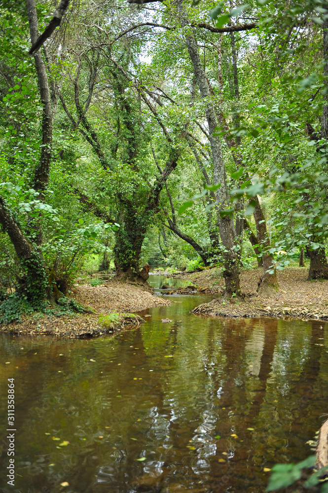  Parque Natural de la Sierra Norte de Sevilla en otoño. El río Hueznar, cerca de San Nicolás del Puerto, un pueblo de la provincia de Sevilla, Andalucía, España