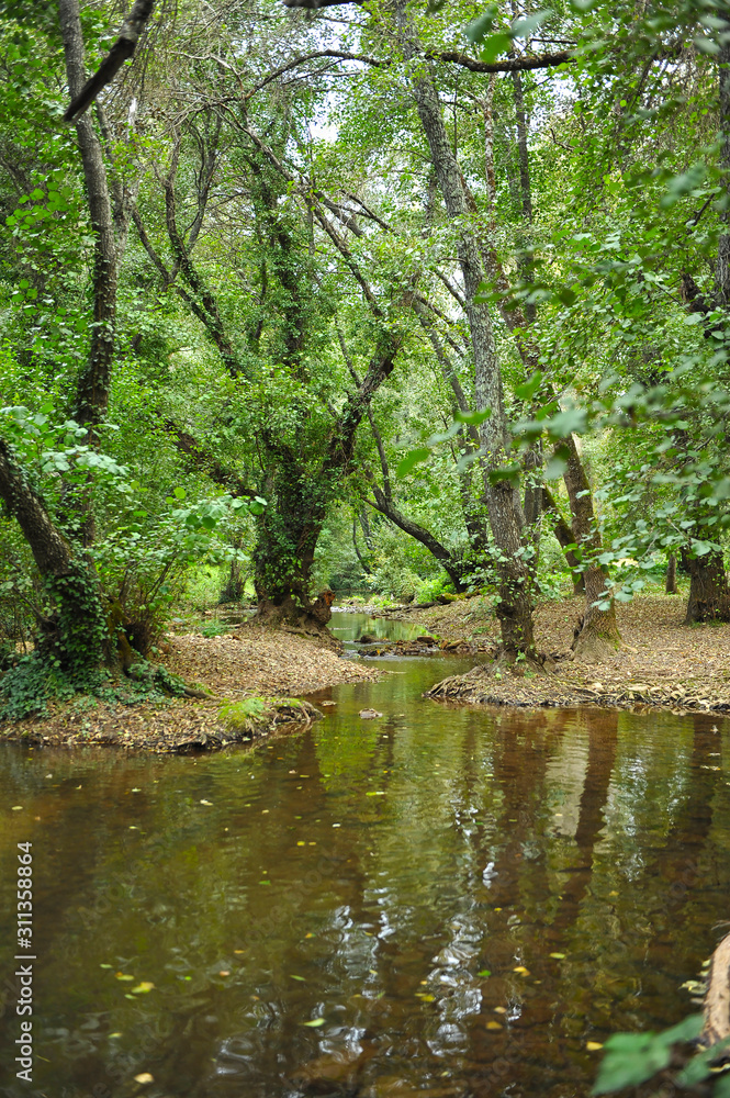 Parque Natural de la Sierra Norte de Sevilla en otoño. El río Hueznar, cerca de San Nicolás del Puerto, un pueblo de la provincia de Sevilla, Andalucía, España Parque Natural de la Sierra Norte de Sevilla en otoño. El río Hueznar, cerca de San Nicolás del Puerto, un pueblo de la provincia de Sevilla, Andalucía, España