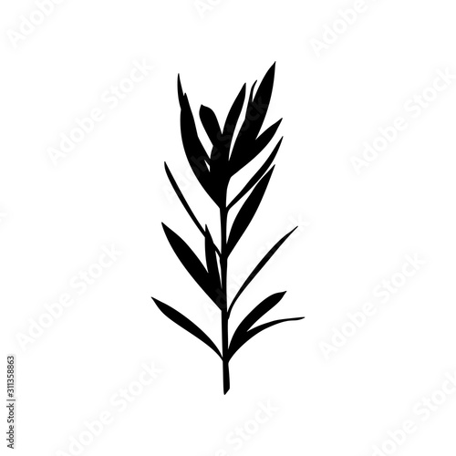 Fototapeta Naklejka Na Ścianę i Meble -  Black Silhouette of a branch of a Plant isolated on a white background. Vector illustration
