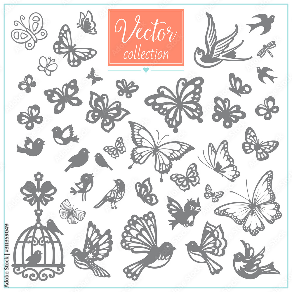 Butterflies and birds. Big vector collection