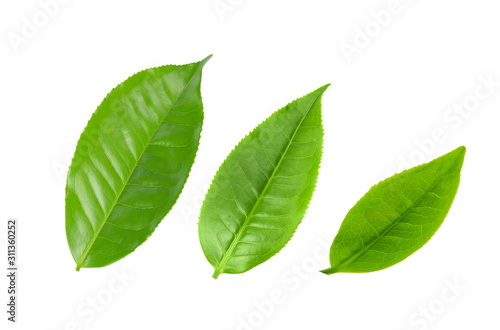 green tea leaf isolated on white background