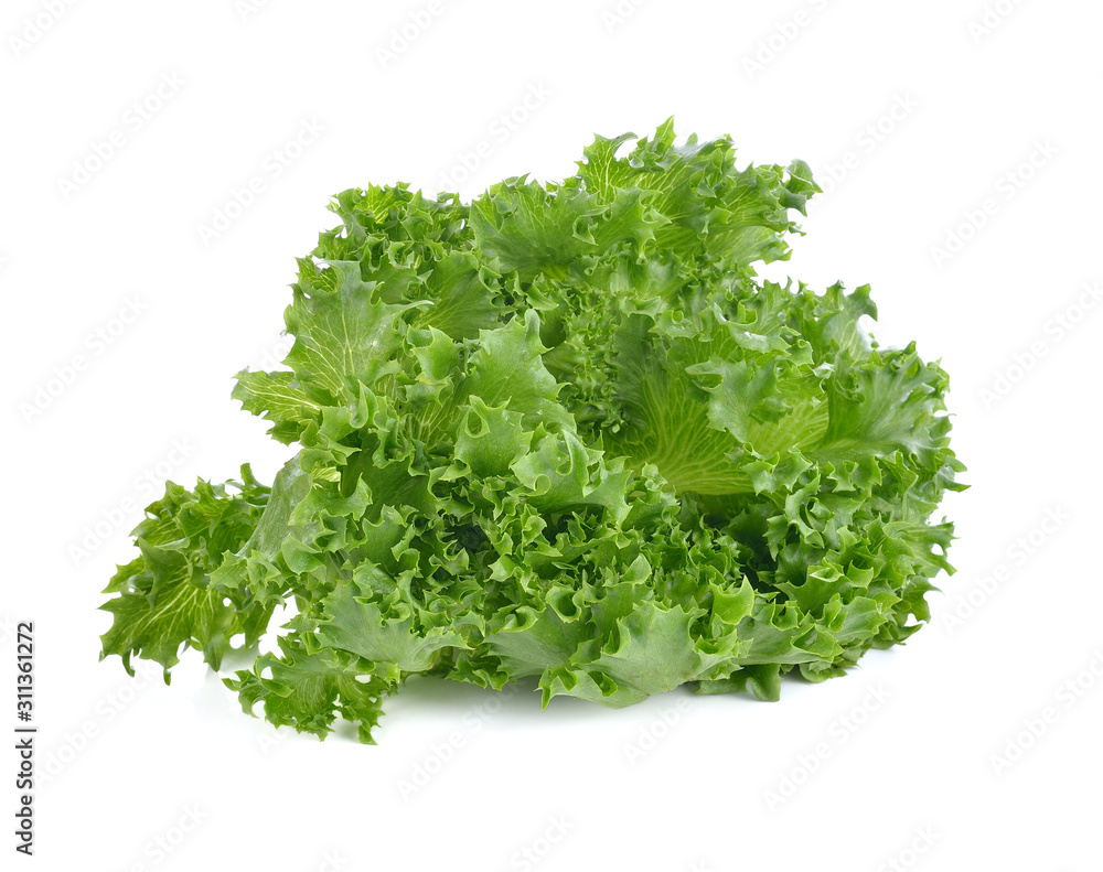 Green lettuce isolated on white Green lettuce isolated on white