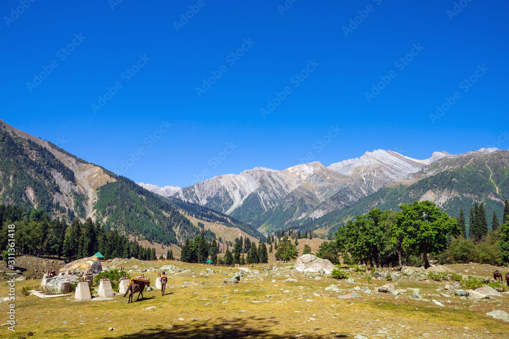  View of traditional village at Sonamarg valley which is famous for its adventure sports activities and horse riding through the valley. Situated at more than 11000 feet.