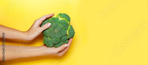 Female hand holding broccoli on yelow background.