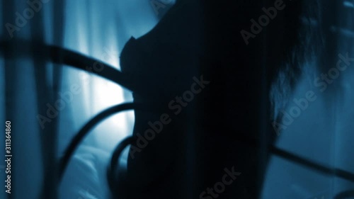 Portrait silhouette, of young sensual seductive passionate young woman makes love. Unrecognised Person