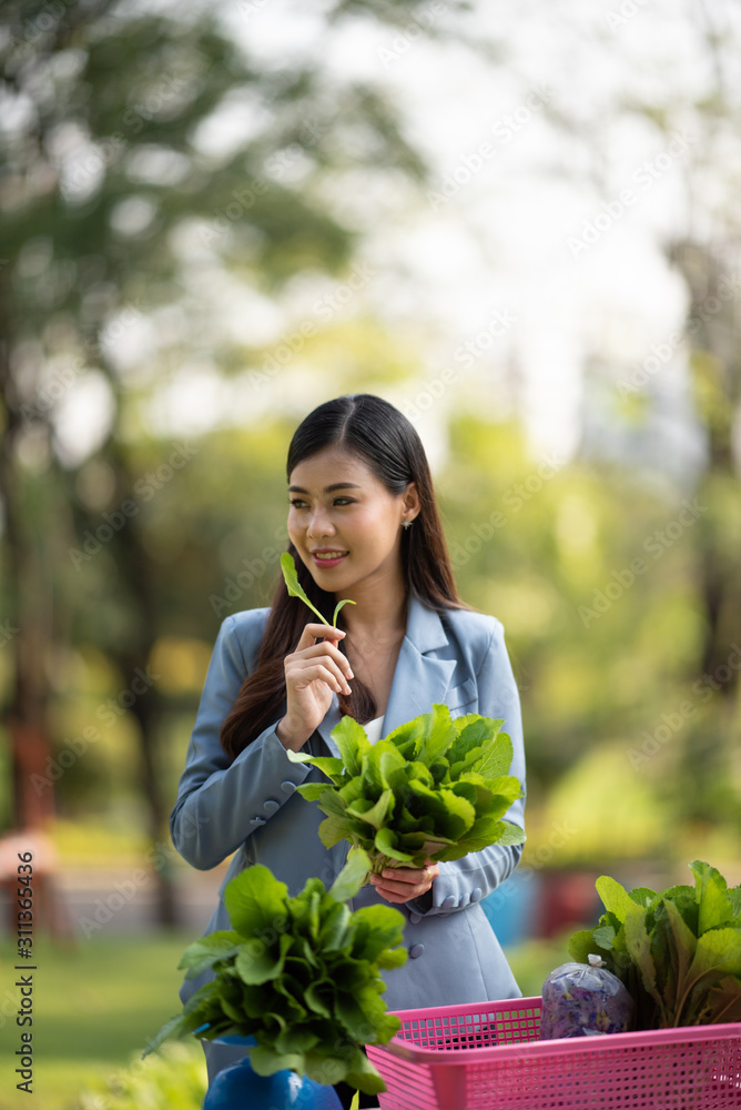 Business women and vegetable growing businesses Business women and vegetable growing businesses