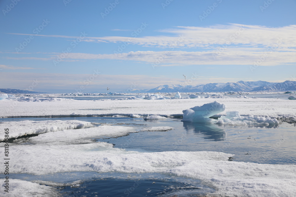 Arctic sea ice around Spitsbergen, Svalbard