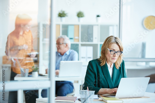Serious mature woman in eyeglasses typing on laptop computer at desk at office with business people in the background