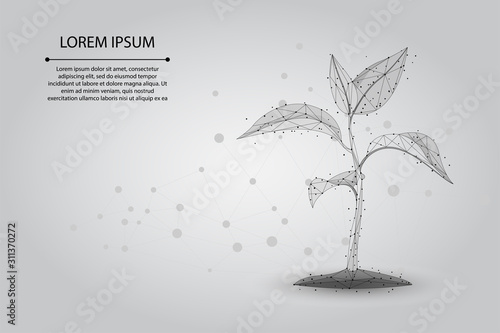 Abstract mash line and point plant sprout ecological abstract concept. Save planet nature environment grow life eco polygon triangles low poly vector illustration