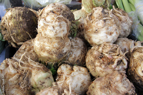Celery root full frame photo. Celery root close up.