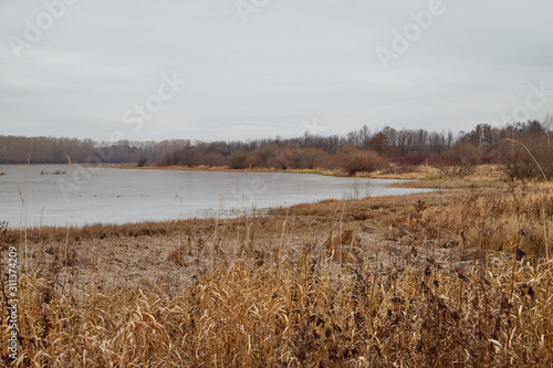 Yellow landscape in autumn cloudy day with yellow grass and lake