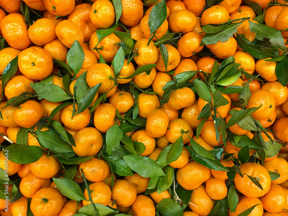 Tangerine fruits with green leaves closeup. Mobile photo Tangerine fruits with green leaves closeup. Mobile photo