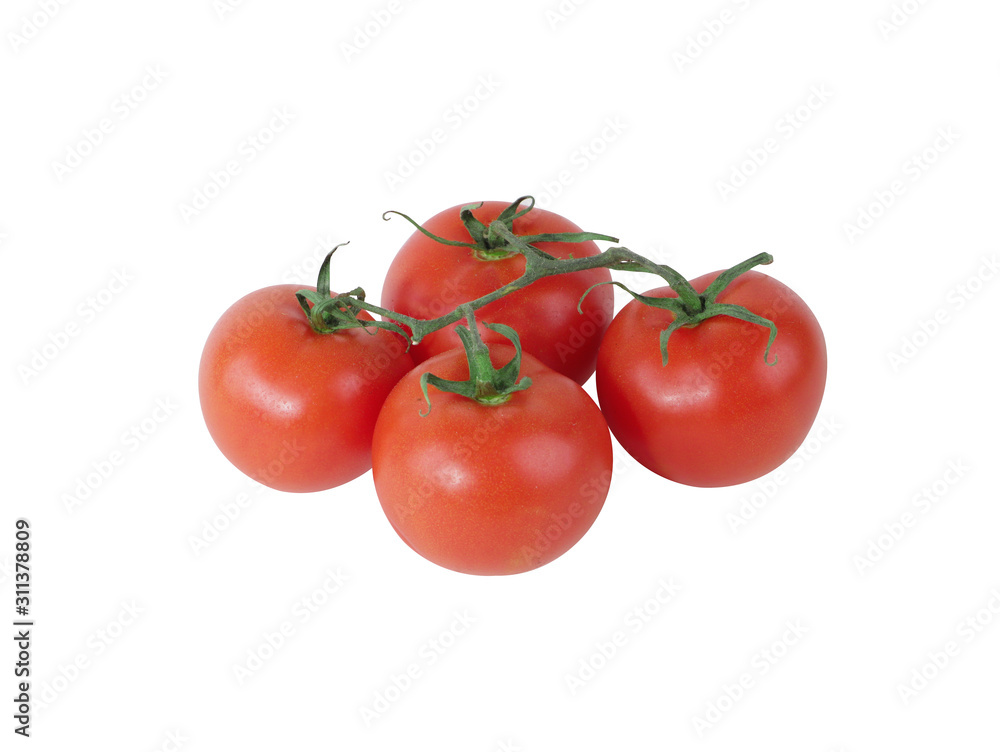 Tomatoes isolated in white background Tomatoes isolated in white background