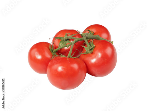 Tomatoes isolated in white background