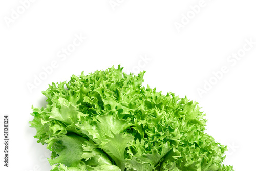 Fresh green lettuce on a white background.