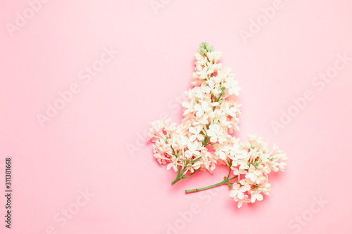 Fototapeta Naklejka Na Ścianę i Meble -  Top view minimal composition with white flower lilac branch on a pink background with place for text