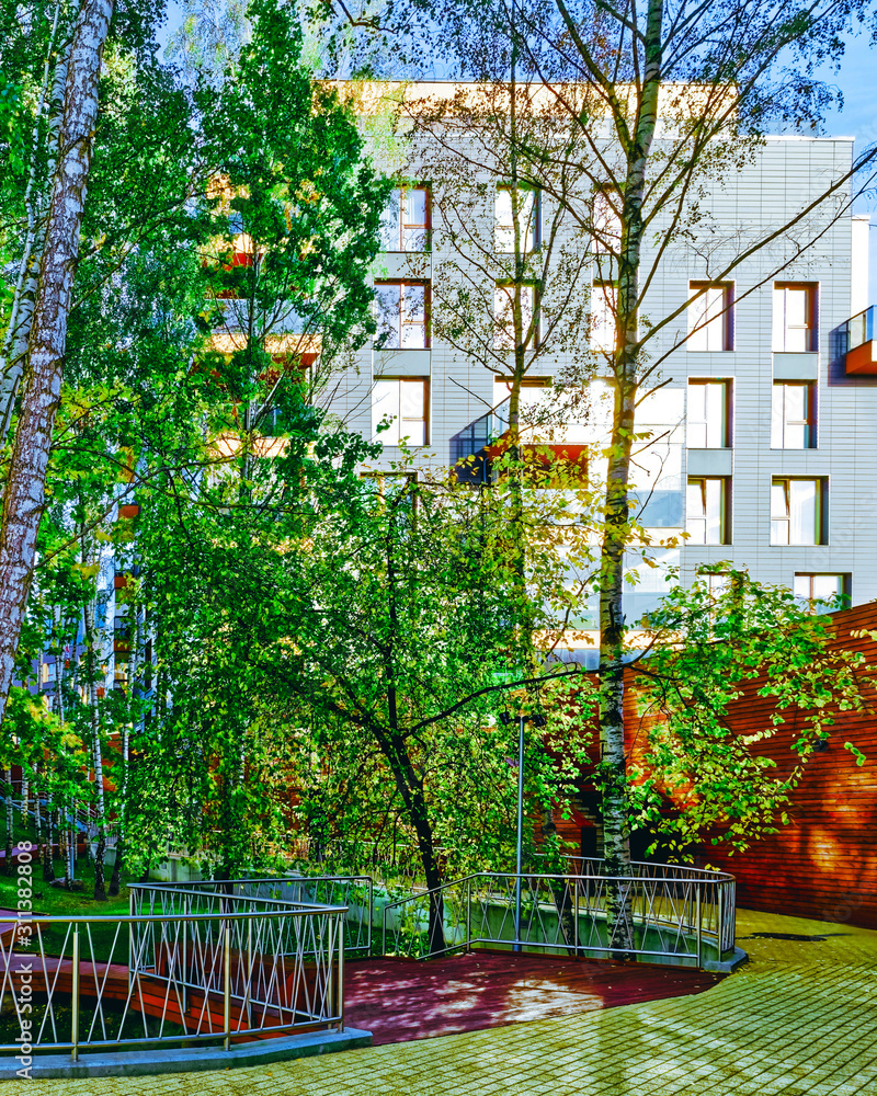Europe Birch trees and Modern glass residential building reflex