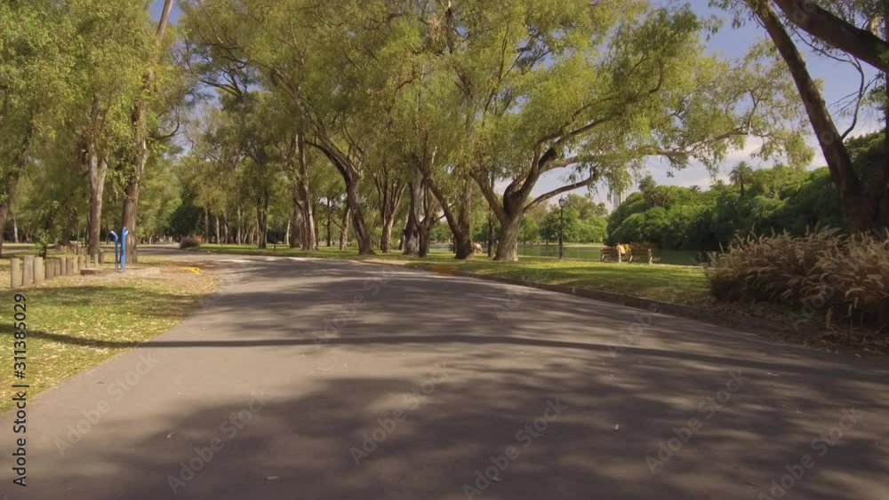 Cycling Running Driving through city park. Person POV Plate. Sunny day, trees. Cycling Running Driving through city park. Person POV Plate. Sunny day, trees.