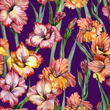 Beautiful gladiolus flowers and leaves on violet background. Seamless exotic floral pattern. Watercolor painting. Hand drawn illustration.