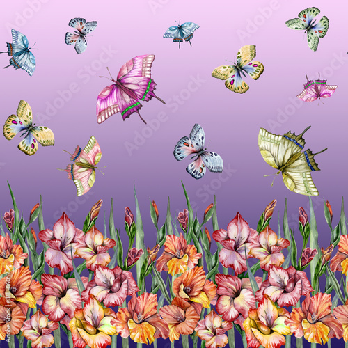 Beautiful gladiolus flowers with green leaves and butterflies on gradient background. Seamless exotic floral pattern  border. Watercolor painting. Hand painted illustration.