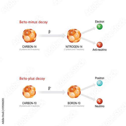 Beta-plus and Beta-minus decay. photo