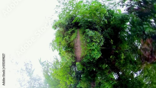 Boseong, South Korea 18 July 2019: Daehandawon. Little planet view in forest.. photo