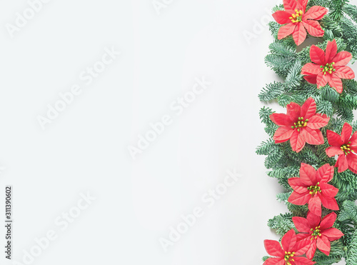 Border of red poinsettia flowers and green fir twigs on white background. space for text, festive concept, flat lay