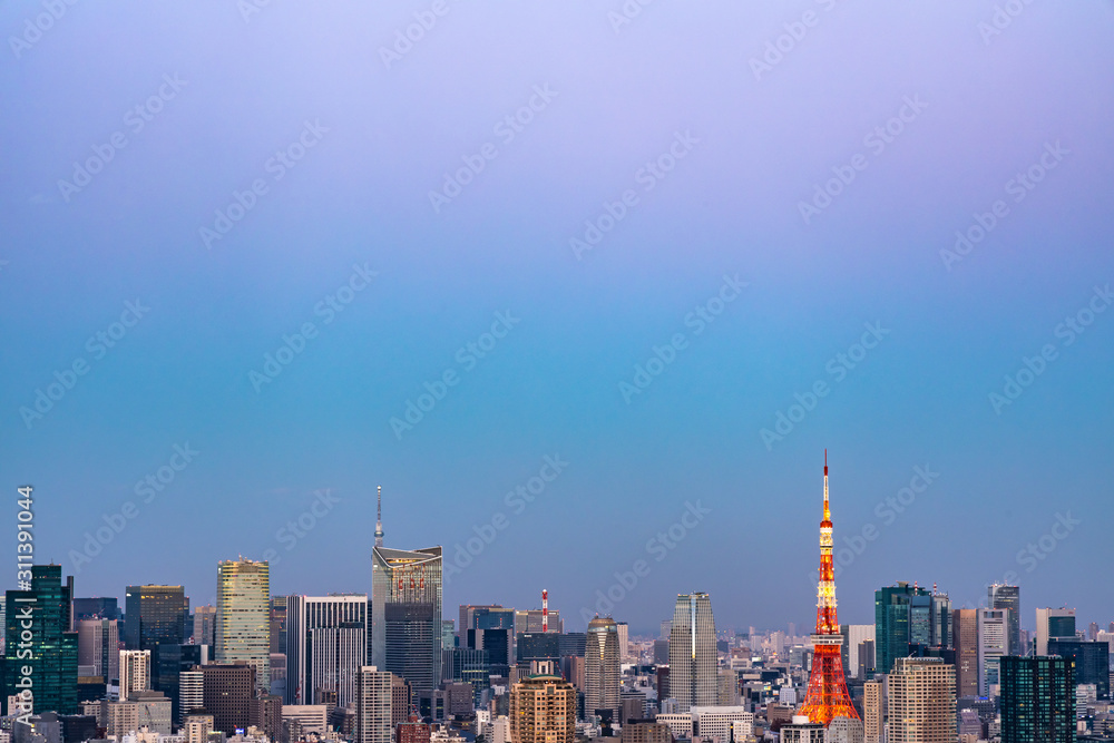 Tokyo city view and sky
