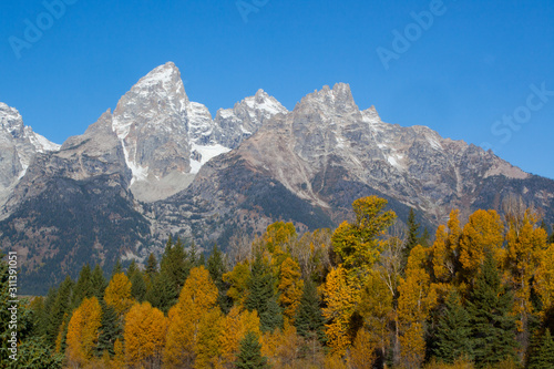 Snow Capped mountain and autumn trees