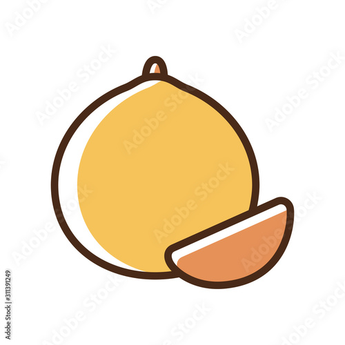 Color icon orange