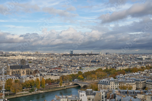 Fototapeta Naklejka Na Ścianę i Meble -  Panoramic view to the Paris and river Seine from the roof of Notre Dame cathedral, France. Cloudy weather. Autumn.      