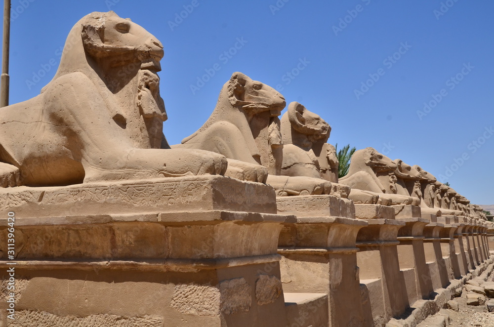 Naklejka premium STATUES DE BÉLIERS TEMPLE DE KARNAK LOUXOR EGYPTE