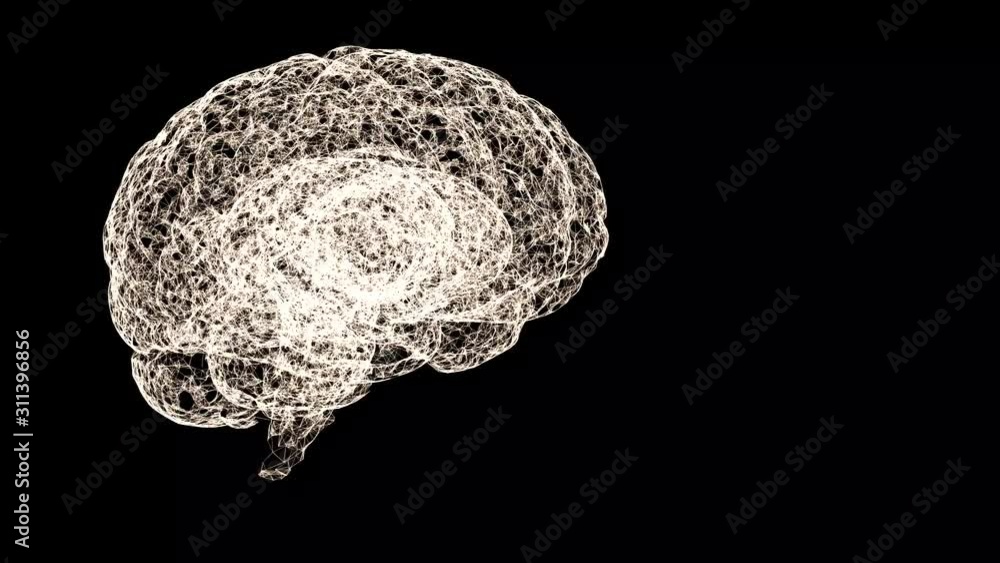 Close up video of human brain looking to be formed of spider web floating over black background. Close up video of human brain looking to be formed of spider web floating over black background.
