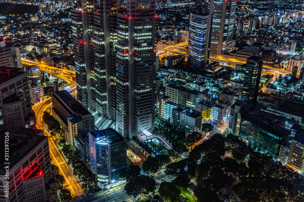 Tokyo city night view and highway