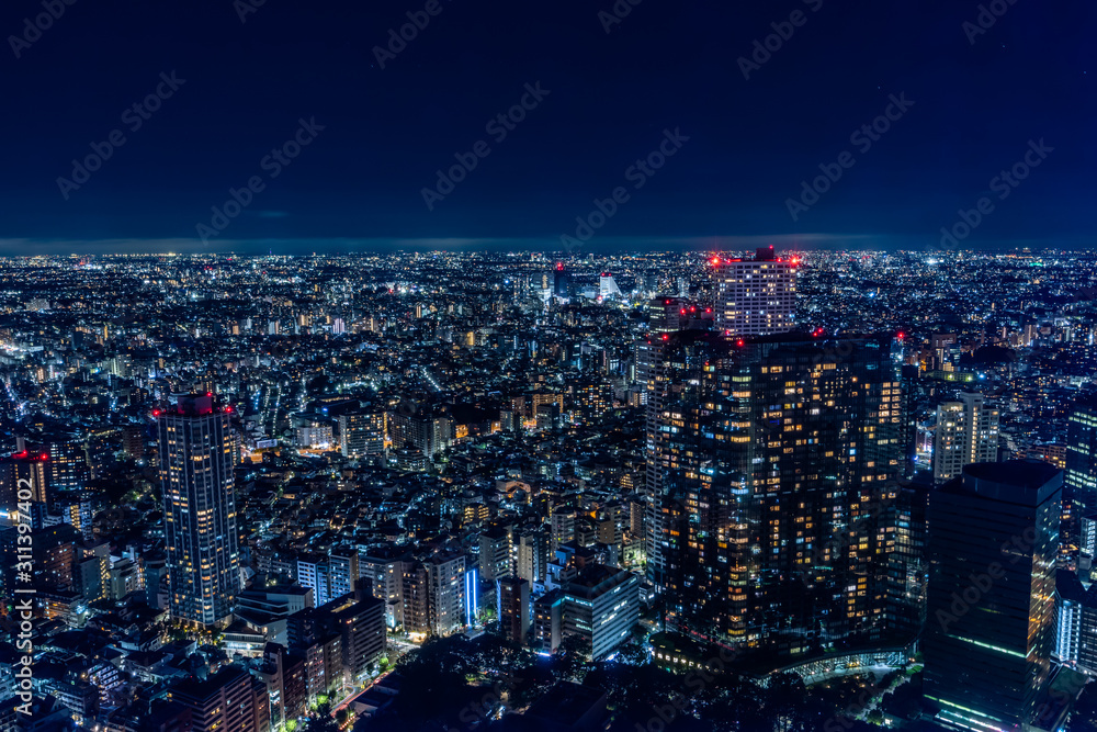 Tokyo city night view and sky