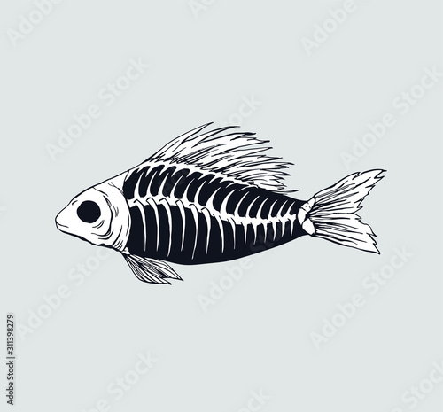 Fish skeleton isolated illustration print design ink art creepy
