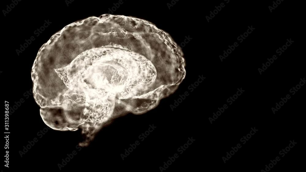 Psychology concept. Video view of human brain structure formed of abstract space mist. Psychology concept. Video view of human brain structure formed of abstract space mist.