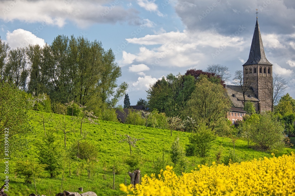 church in homberg ratingen with rapeseed