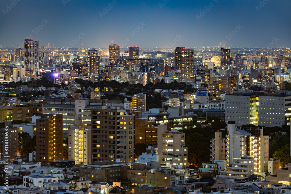 Tokyo city night view and sky