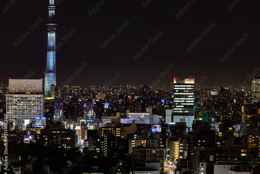 Tokyo city tower night view and sky