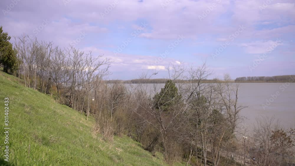 a crow flies from a tree, beautiful scenery a crow flies from a tree, beautiful scenery