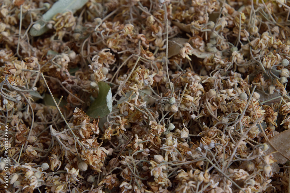 dried linden flowers in a bazaar in Istanbul dried linden flowers in a bazaar in Istanbul