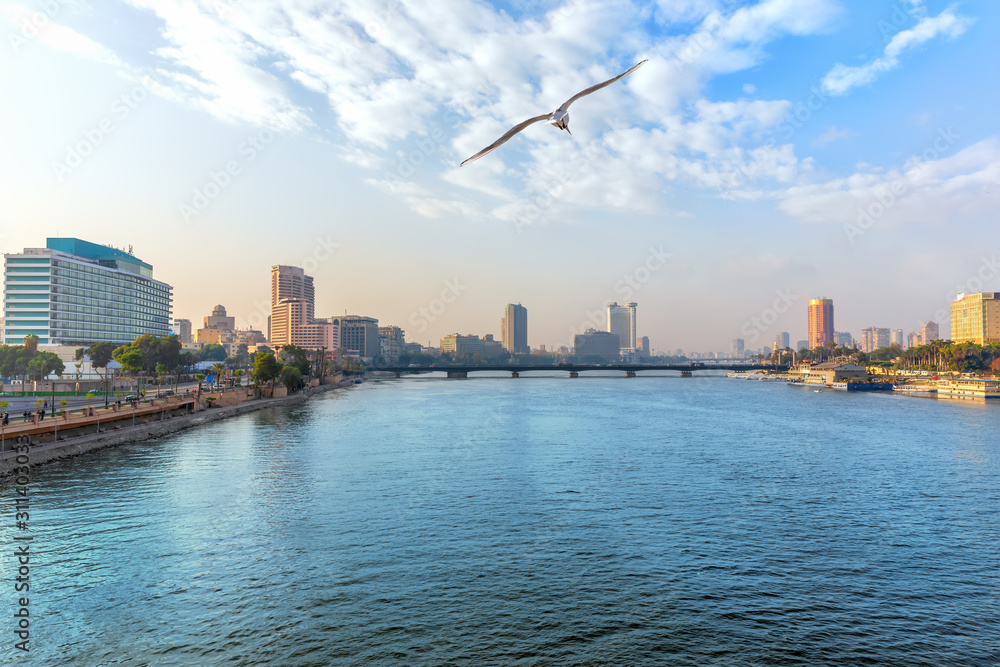 Fototapeta premium View of the Nile in the downtown of Cairo, Egypt