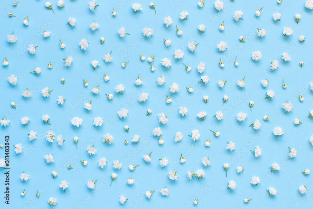 Small white flowers on a light blue background Small white flowers on a light blue background