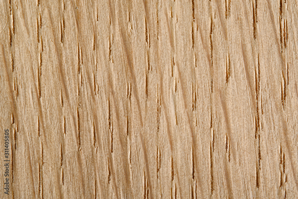 Light brown oak wood texture. Fiber close up. Macro Light brown oak wood texture. Fiber close up. Macro