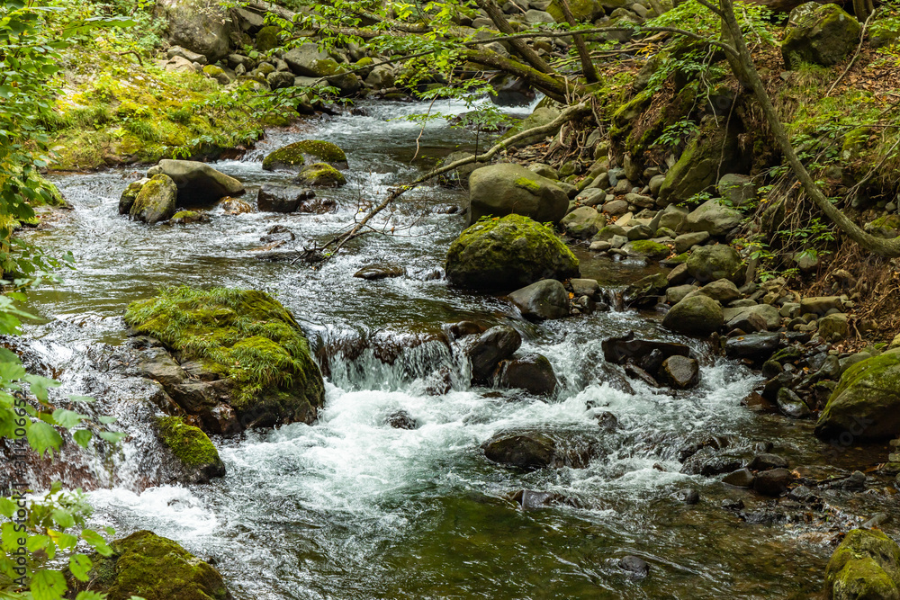 outdoor river in the forest