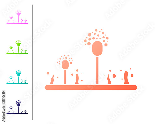 Coral Mold icon isolated on white background. Set color icons. Vector Illustration
